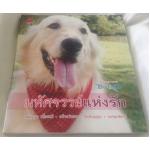 มหัศจรรย์แห่งรัก ราคา 70