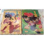 รันม่าไอ้หนุ่มกังฟู พิมพ์เก่า เล่ม4,5 ราคา 50