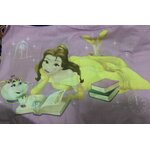 (สินค้าสำหรับเพิ่มยอดให้ถึงขั้นต่ำ) ปลอกหมอนหนุน ลายเจ้าหญิงจัสมิน สองชิ้น ราคา 120