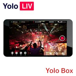 Yolo Box Live Stream