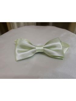 โบว์ผู้ชายสีเขียวมิ้นท์