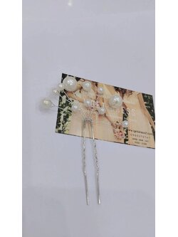 ปิ่นมุกพัดสีเงิน