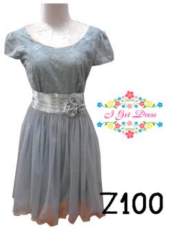 ราตรีสั้นสีเทา(ฟรีไซส์)