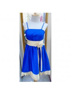 ราตรีสั้นสีน้ำเงิน สม๊อคหลัง