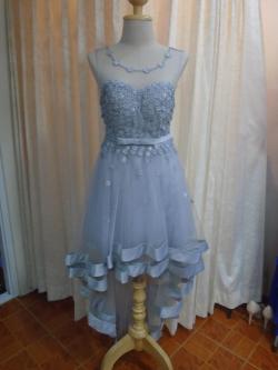 ราตรียาวสีเทาหน้าสั้นหลังยาว(ฟรีไซส์)