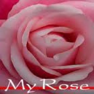 สำนักพิมพ์ มายโรส