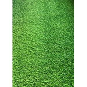 ปูหญ้าเทียมหน้าบ้าน 2 เซนติเมตร ราคาถูก คุณภาพสูง