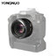 เลนส์ฟิก Yongnuo YN 50mm f1.8 for Canon EF ราคาถูก (ถ่ายหน้าชัดหลังเบลอ)