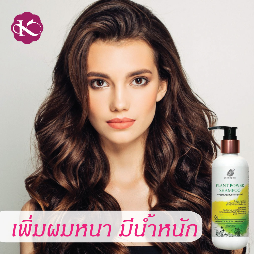 แชมพูทำให้ผมหนา ผมดก สร้างผมใหม่ ชมภิญญ์ สมุนไพร ยาสระผม วิธีทำให้ผมดกหนา ลดผมร่วง ผมบางมาก ใช้อะไรดี PLANT POWER SHAMPOO 250 ml.