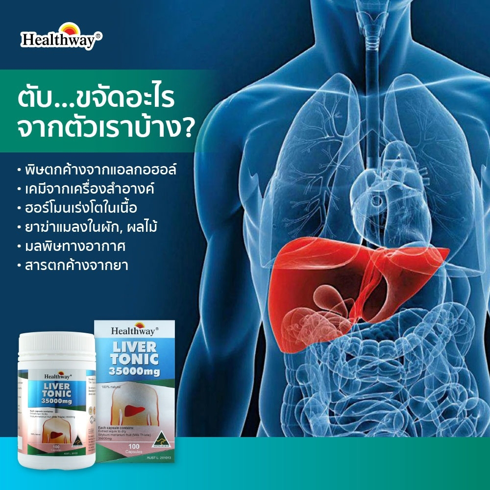 Healthway Liver Tonic 35,000mg. Milk Thistle อาหารเสริมล้างตับ ขับสารพิษในตับ บำรุงและฟื้นฟูตับ ขนาด 100 แค็บซูล จากออสเตรเลีย