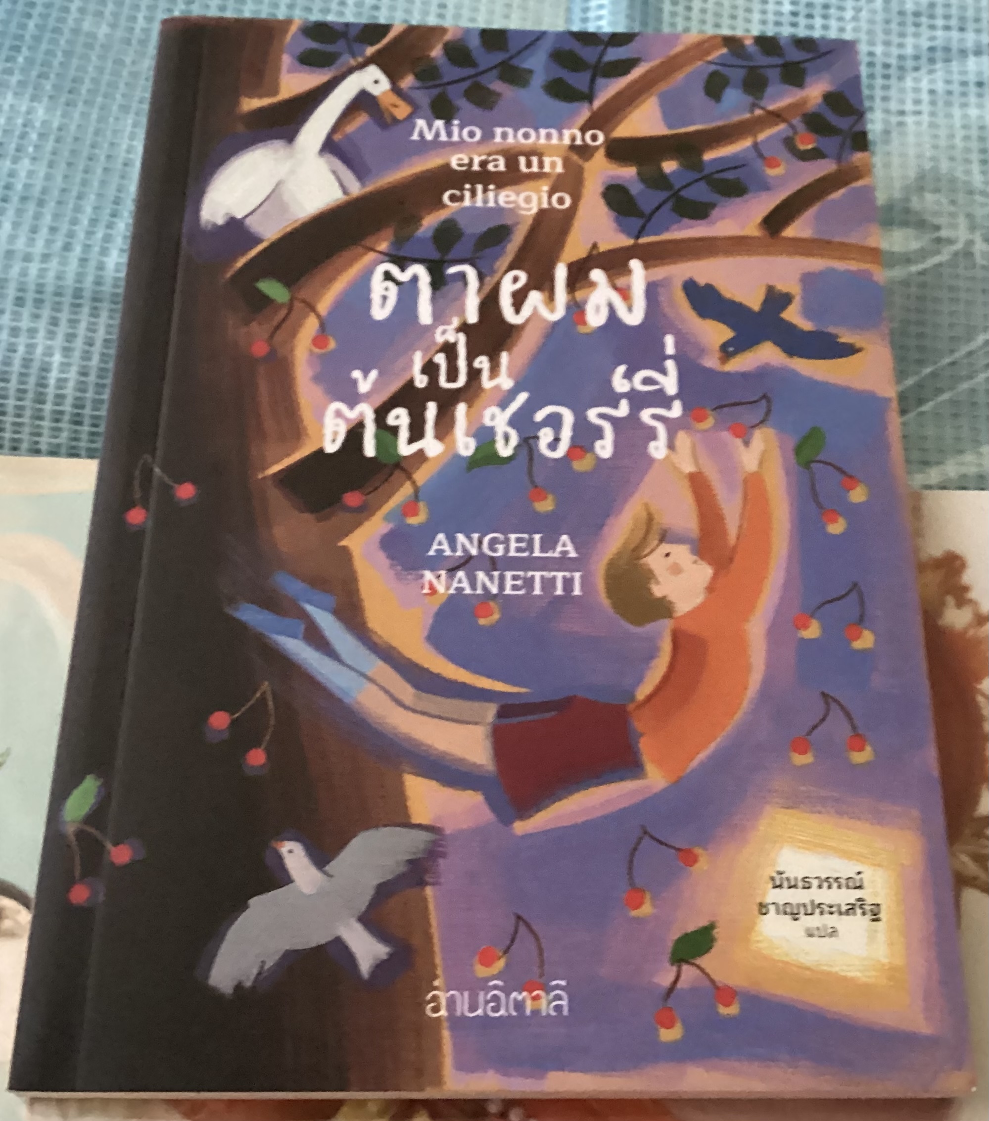 (สั่ง8จ่าย7) ตาผมเป็นต้นเชอร์รี่ Angela Nanetti ราคา 165