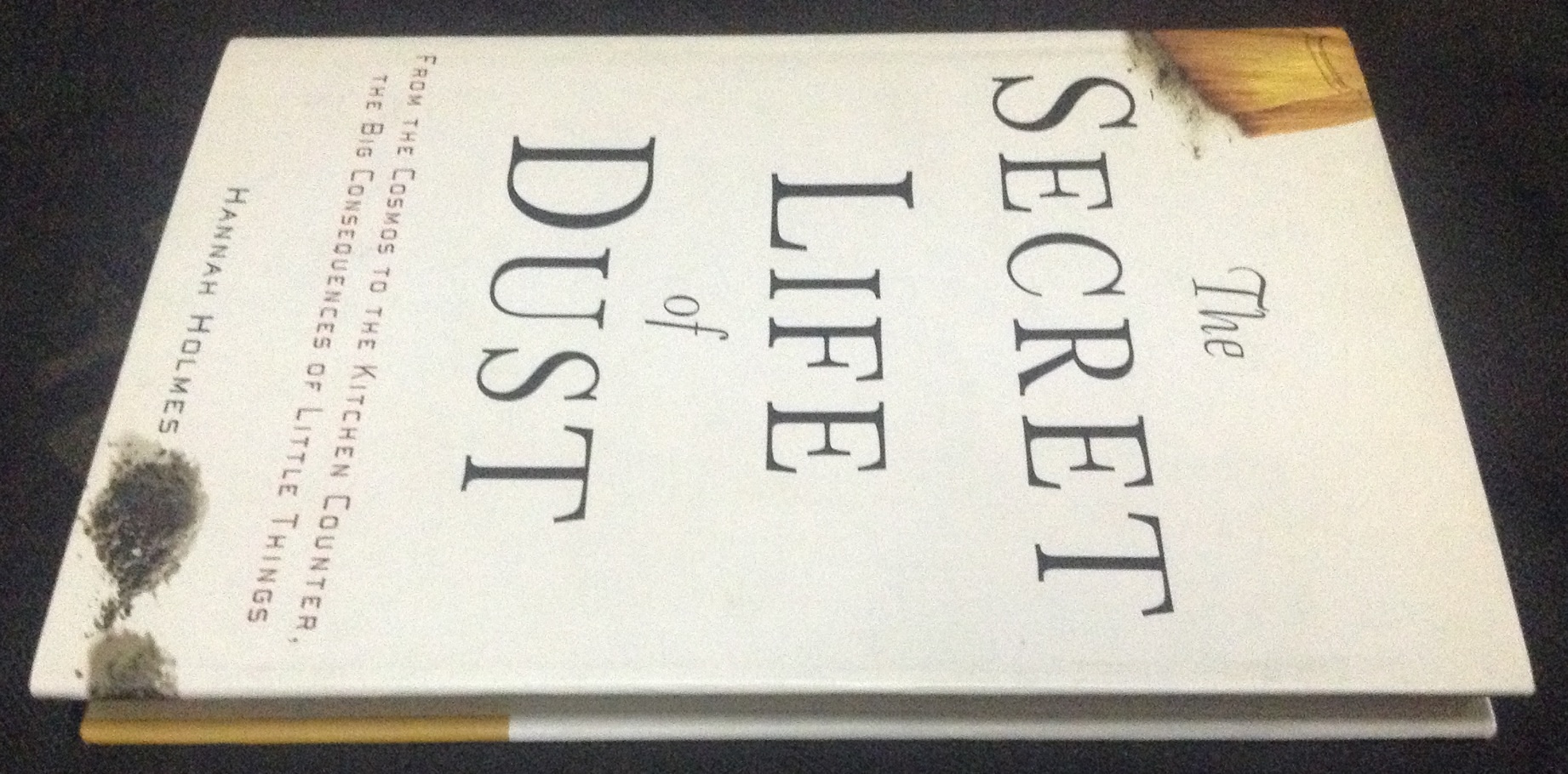 The Secret Life of Dust: From the Cosmos to the Kitchen Counter, the Big Consequences of Little Things by Hannah Holmes ราคา 430