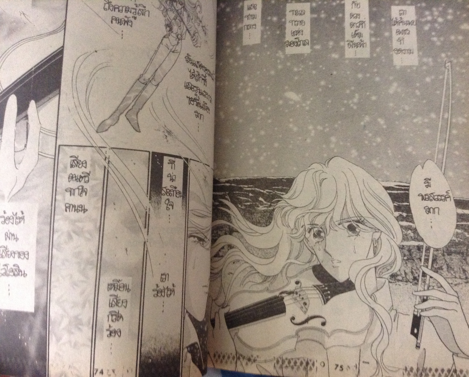 strawberry ราคา 25