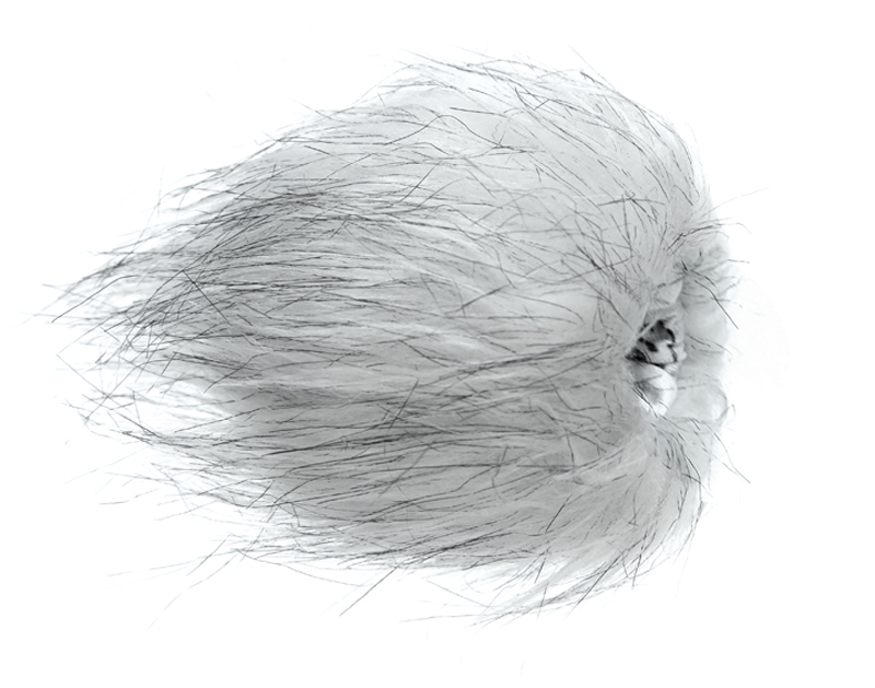 Microphone BOYA BY-VM300PS Gloden Version Broadcast Quality Stereo รับประกันศูนย์ไทย 1 ปี