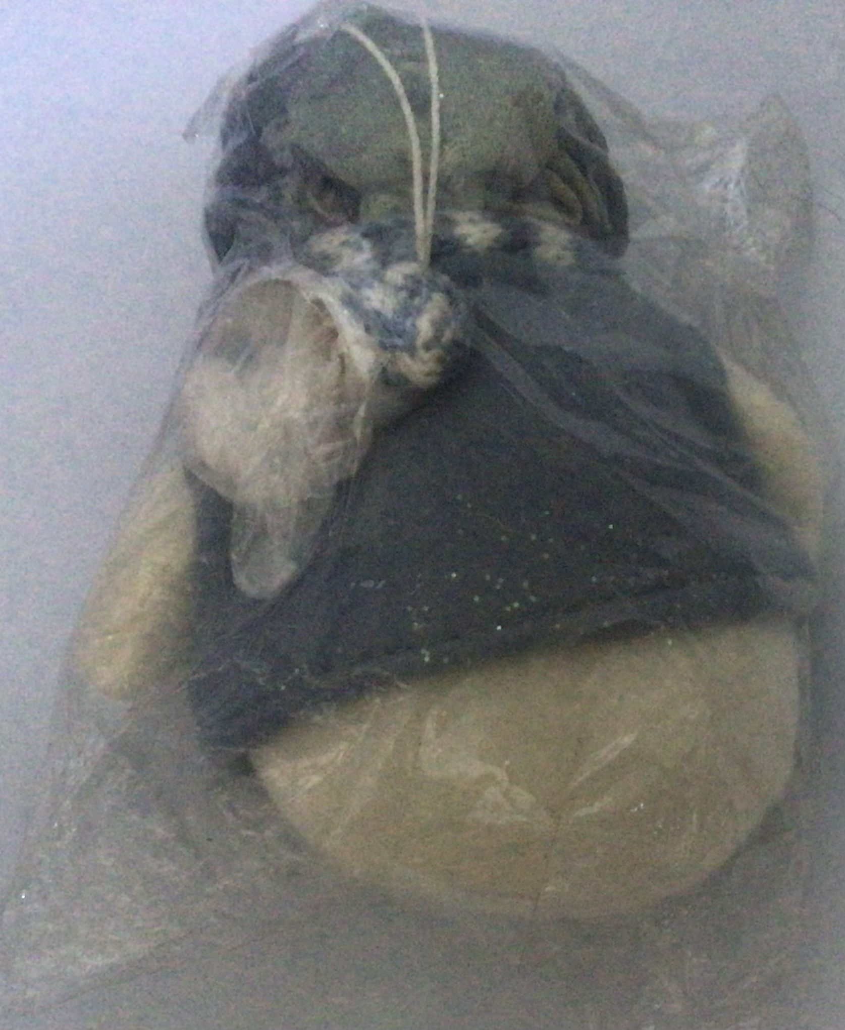 ตุ๊กตาสโนว์แมน มีตัวจุ๊บ