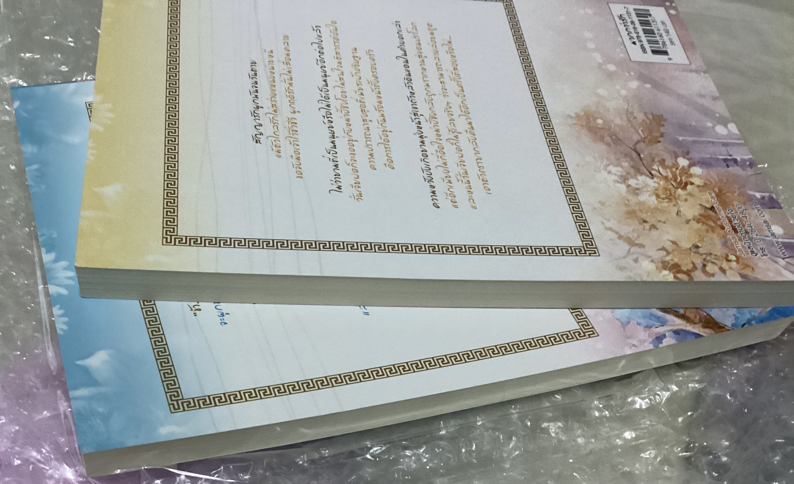 (สั่ง9จ่าย7) ภูตรักปาฏิหาริย์ 2 เล่มจบ อวี๋ฉิง ราคา 209