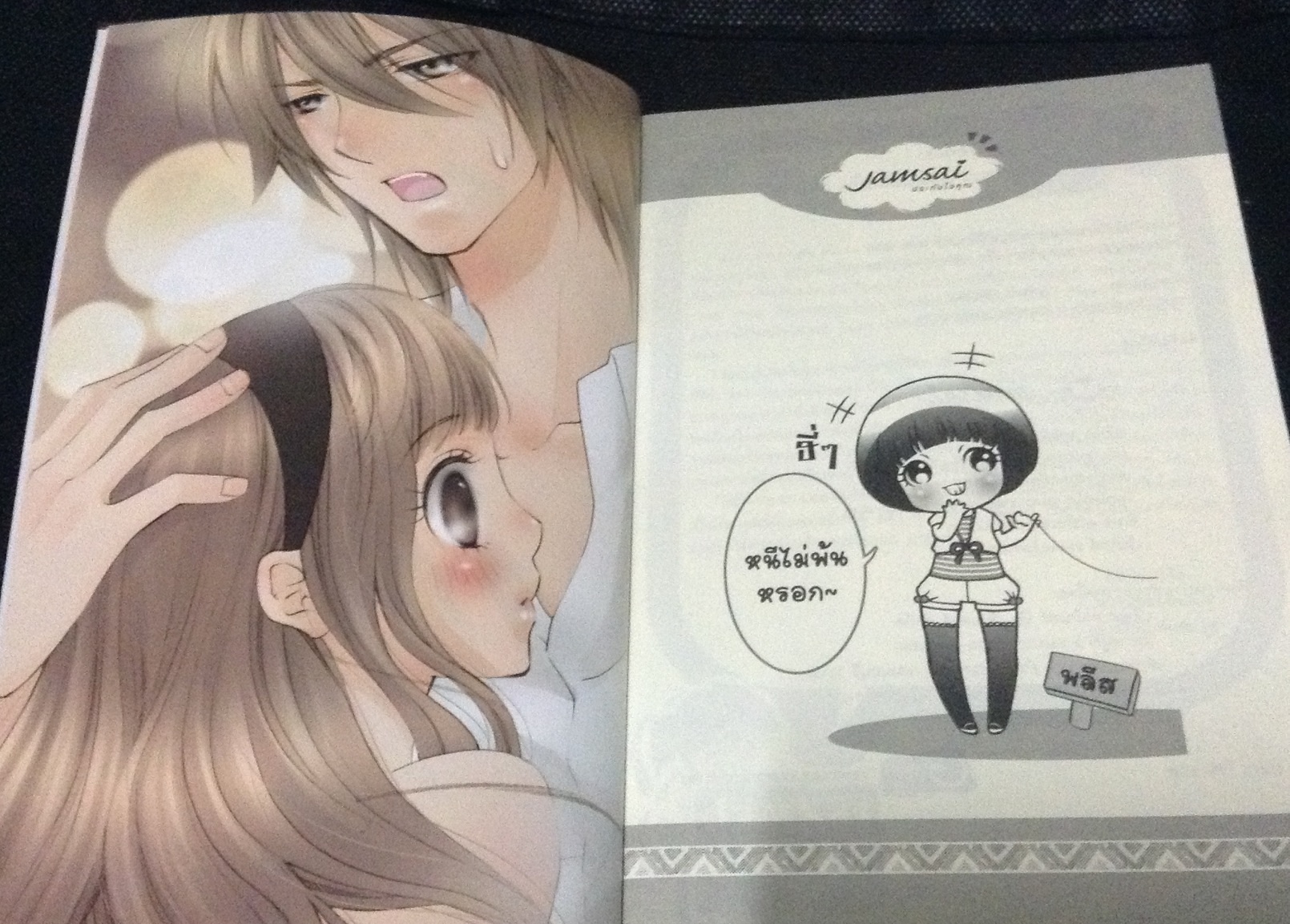 (สั่ง9จ่าย7) Soulmate Plan วางแผนลับฉบับ(จับ)ที่รัก TheLittleFinger ราคา 80