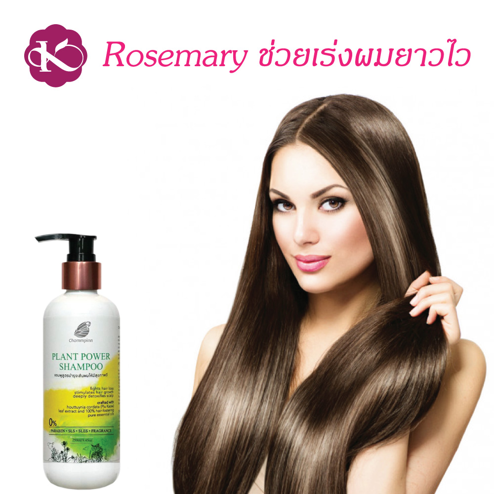 ผมยาวไวใช้อะไร แชมพูเร่งผมยาว ผมดก เพิ่มผมหนา สมุนไพร วิธีเร่งผมยาว ทำให้ผมหนาขึ้น ผู้ หญิง เร่งด่วน ลดผมร่วง ผมบาง PLANT POWER SHAMPOO 250 ml.