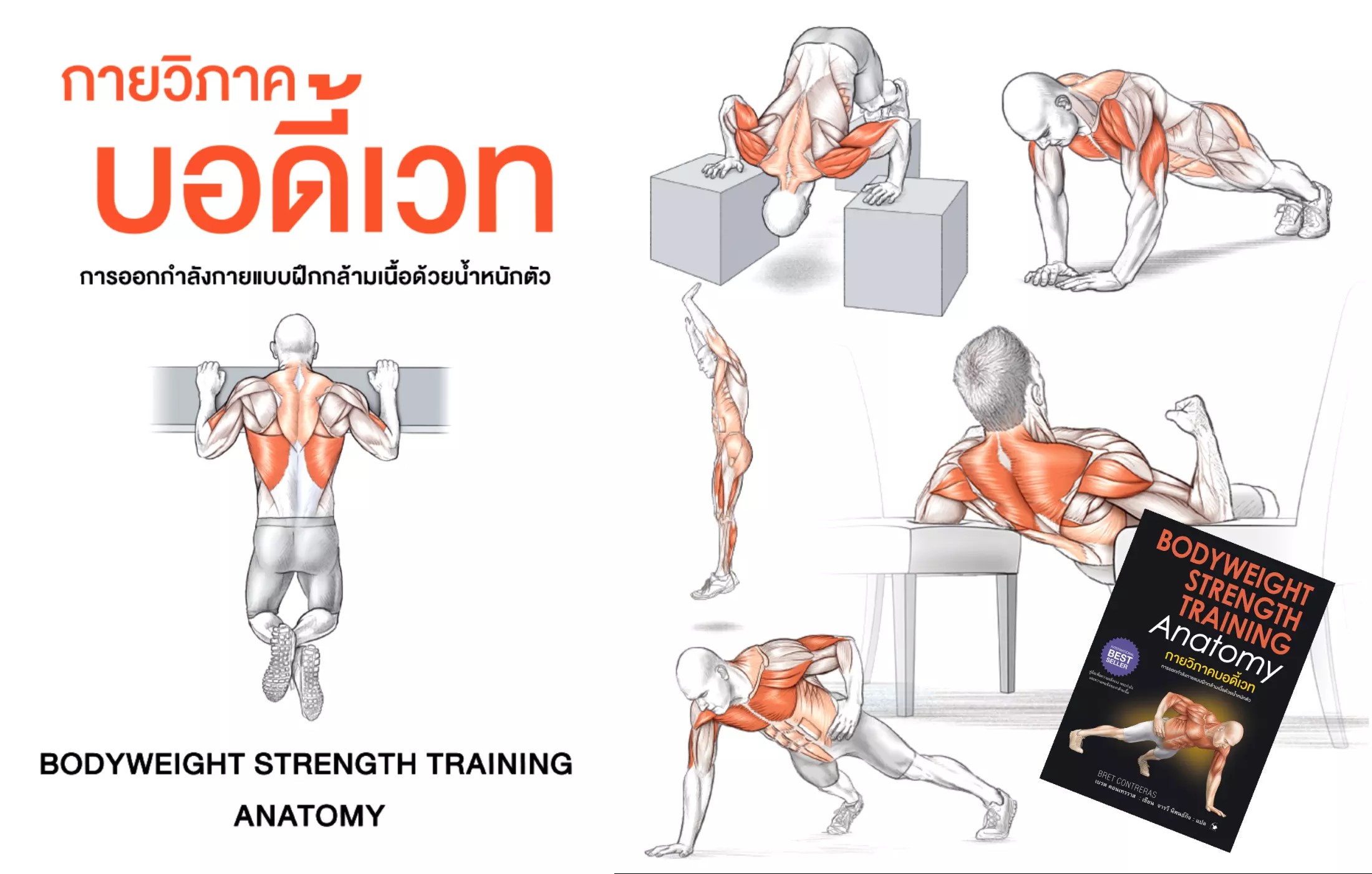 หนังสือเรื่อง กายวิภาคบอดี้เวท Bodyweight Strength Training Anatomy : เบรต คอนเทรราส : สำนักพิมพ์ แอร์โรว์
