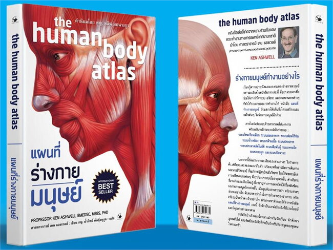 หนังสือเรื่อง แผนที่ร่างกายมนุษย์ The human body atlas (ปกแข็ง) : เคน แอชเวลล์ : สำนักพิมพ์ แอร์โรว์