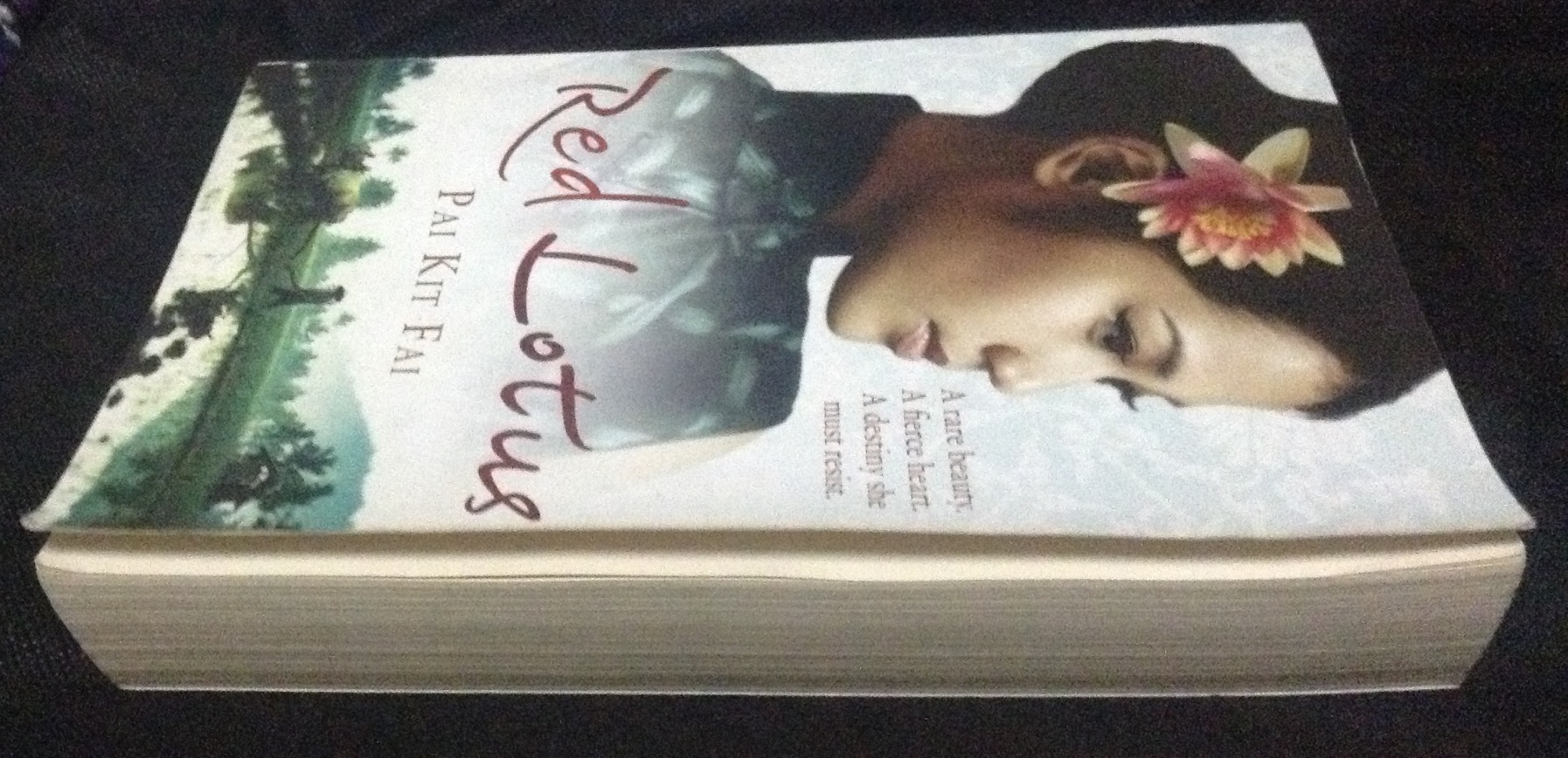 Red Lotus by Pai Kit Fai ราคา 250