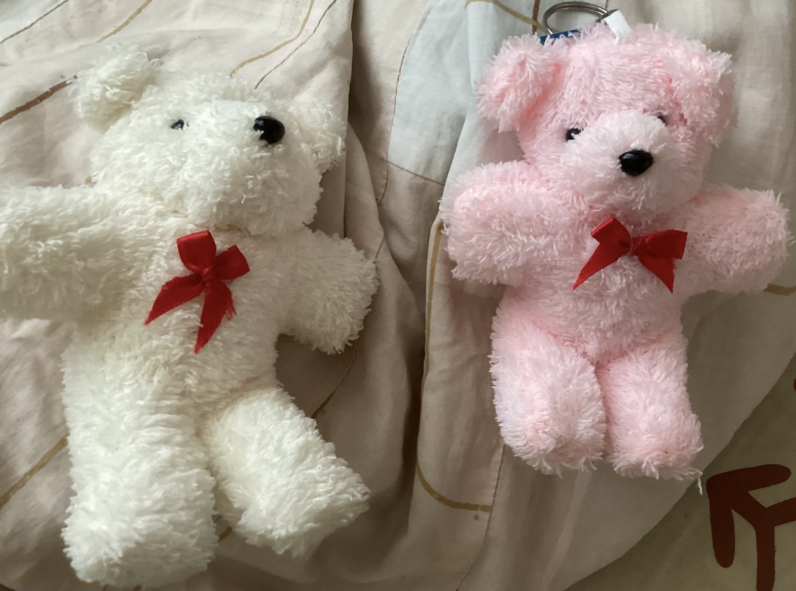 (ของแถม) พวงกุญแจ น้องหมี ibegin แจ้งสีในหมายเหตุ