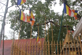 ทัวร์ศรีลังกา 5 วัน 3 คืน 6-10 พ.ย..68