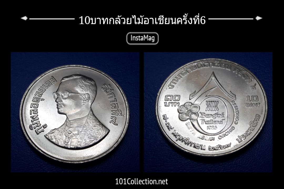 10บาท กล้วยไม้อาเชียน ครั้งที่6 สินค้าตรงตามรูป ราคาแรง สวยๆจร้า