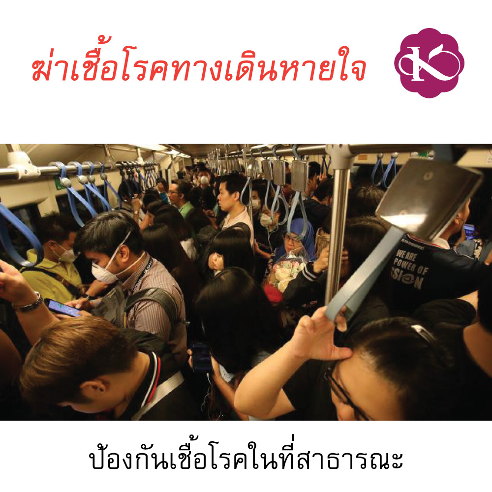 ภูมิแพ้อากาศทำไงดี PM 2.5 น้ำมันหอมระเหยแท้ เกรดบําบัด อโรมาเทอราปี บรรเทา โรคแพ้อากาศ ป้องกัน หวัด ลูกคัดจมูกตอนกลางคืน น้ํามูกไหล จาก พืช ธรรมชาติ 100 % Breathe Cool ชมภิญญ์ 10 ml. ราคา 350