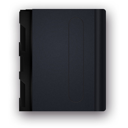 Aputure LS-mini20 Daylight 3-Light Flight Kit ( DDD )