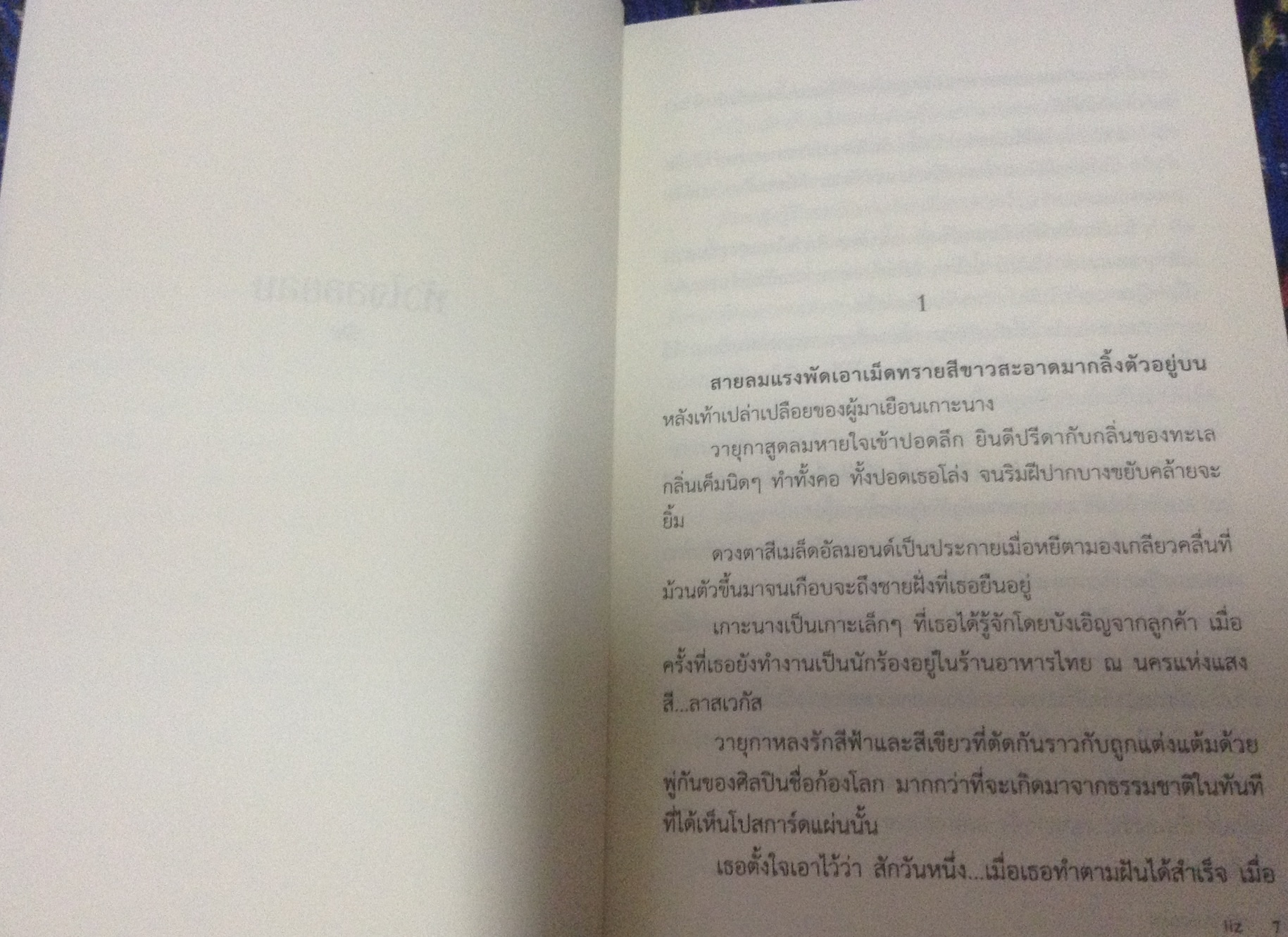 (สั่ง9จ่าย7) หัวใจลอยลม ลิซ ราคา 85