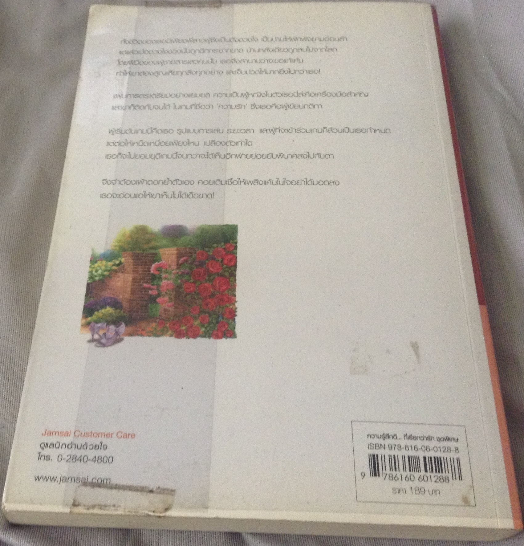 (สั่ง9จ่าย7) เพลิงผลาญใจ นายน้อย ราคา 95