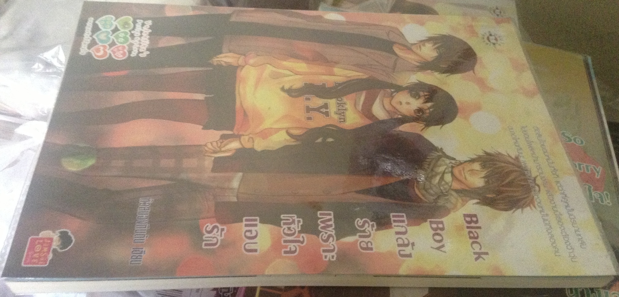 (สั่ง9จ่าย7) Black Boy แกล้งร้ายเพราะหัวใจแอบรัก หัวสมองตีบตัน ราคา 65