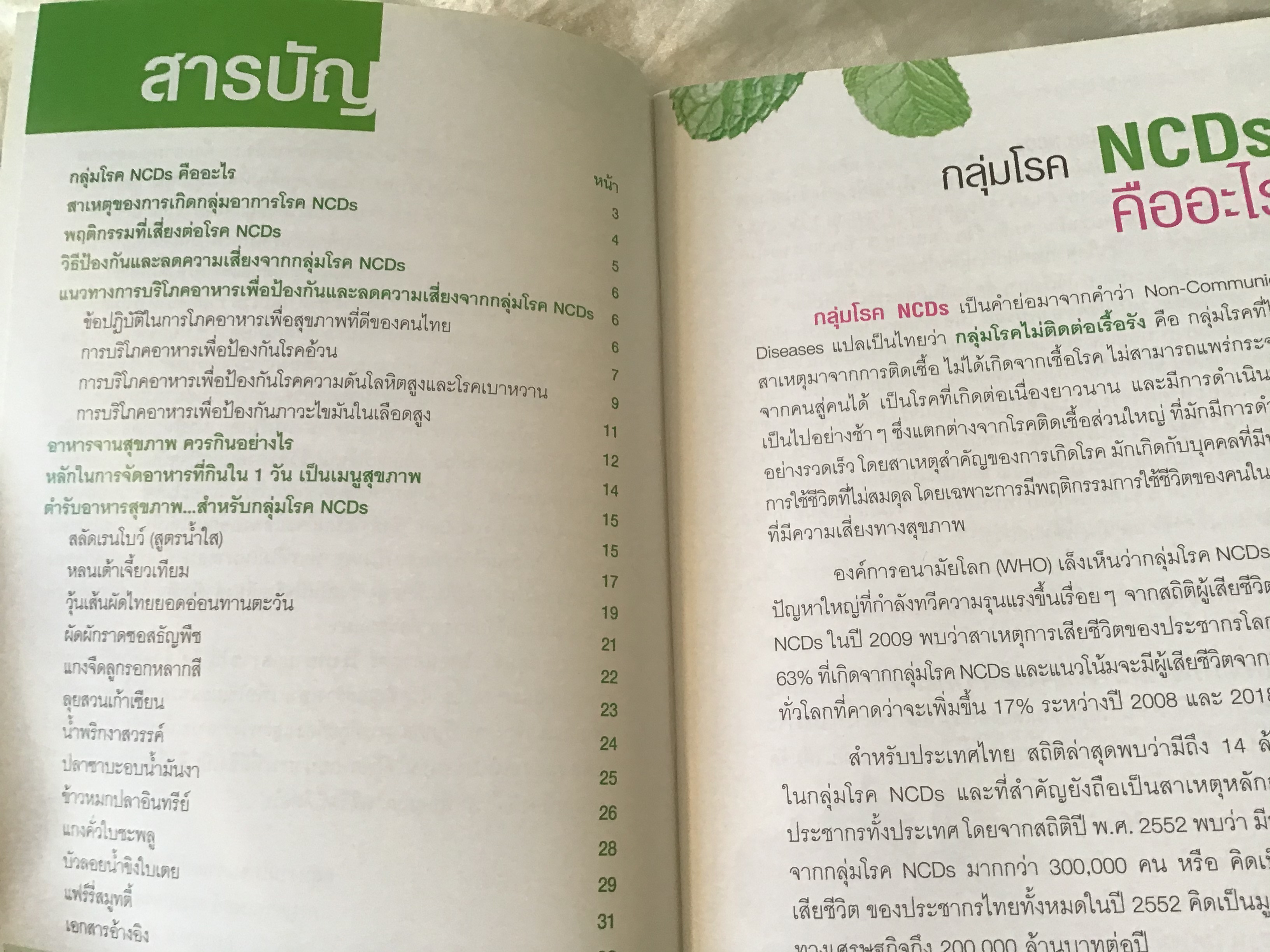 คู่มืออาหารกลุ่มโรค NCDs โรคที่คุณสร้างเอง ราคา 40