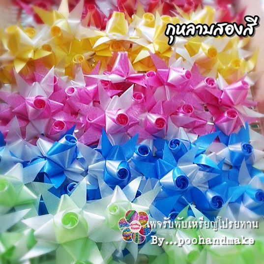 กุหลาบสอบสี