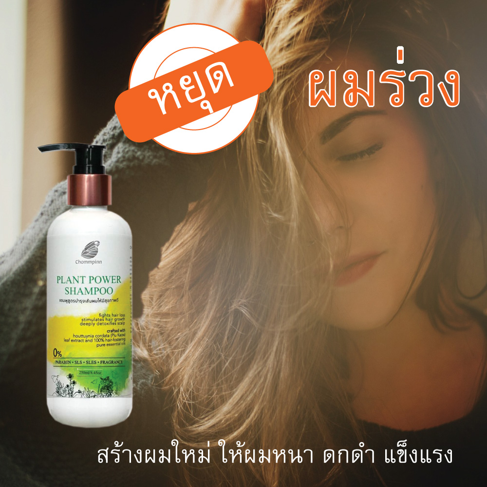 แชมพูทำให้ผมหนา ผมดก สร้างผมใหม่ ชมภิญญ์ สมุนไพร ยาสระผม วิธีทำให้ผมดกหนา ลดผมร่วง ผมบางมาก ใช้อะไรดี PLANT POWER SHAMPOO 250 ml.