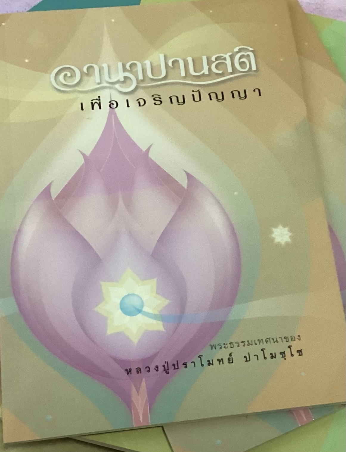 อานาปานสติเพื่อเจริญปัญญา หลวงปู่ปราโมทย์ ราคา 45