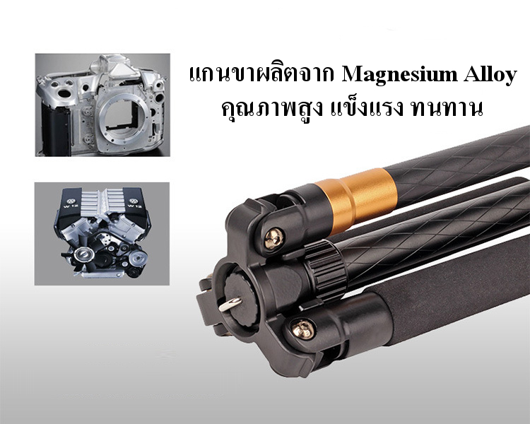 QZSD Tripod Monopod ขาตั้งกล้อง ทำเป็นขาเดี่ยวได้ รุ่น Q-999 ราคาถูก