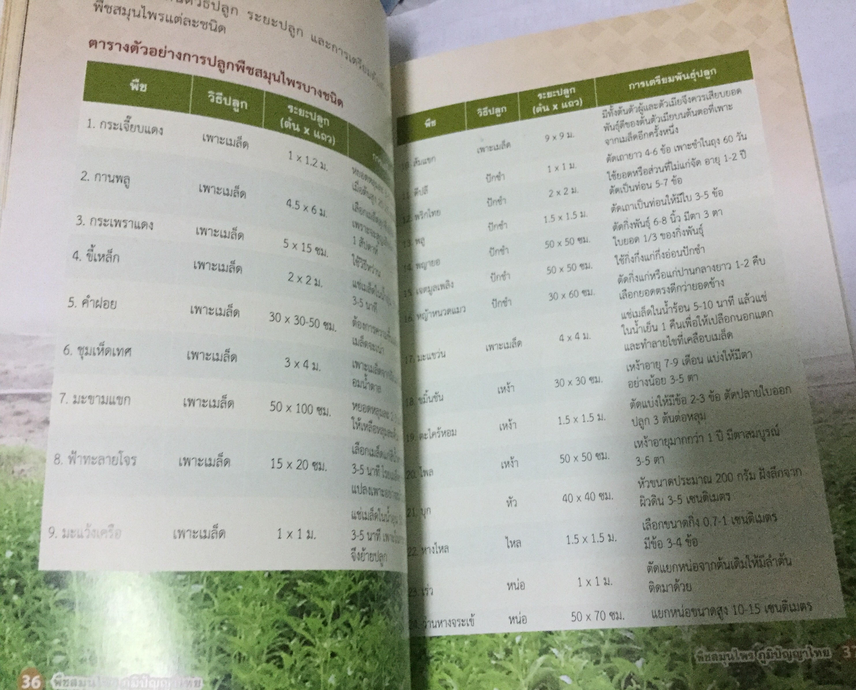 พืชสมุนไพร ภูมิปัญญาไทย ราคา 150