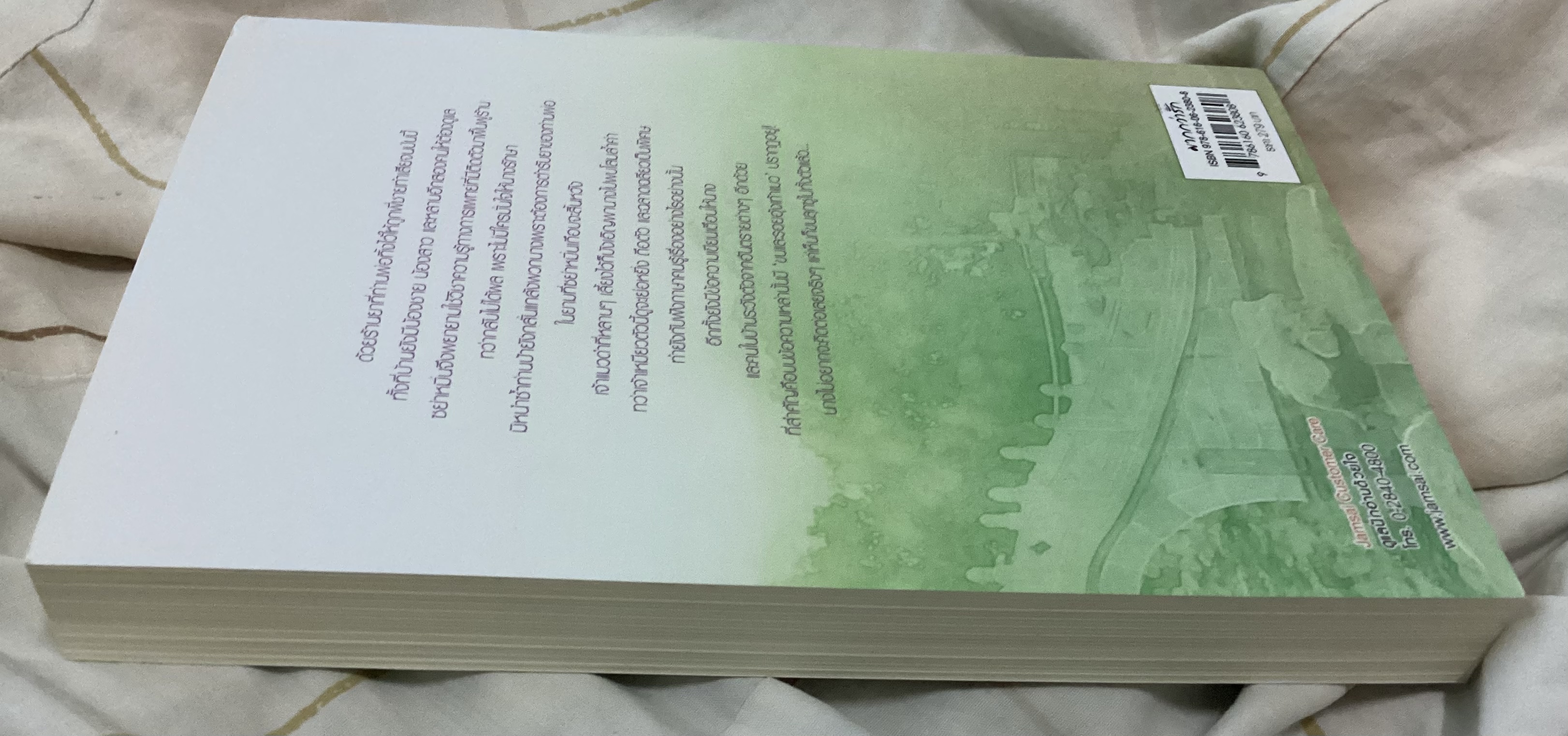 (สั่ง9จ่าย7) แมวบ้านข้าเป็นท่านอ๋อง ถงซิน ราคา 196