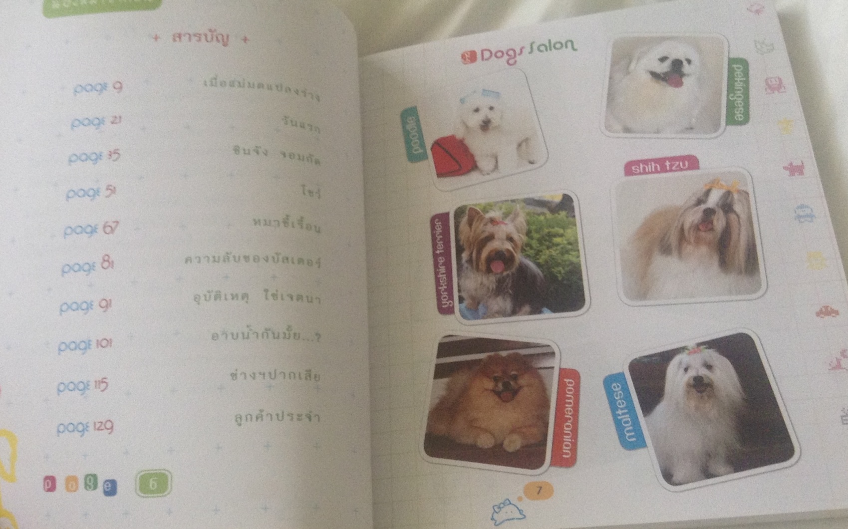 น้องหมาซาลอน ราคา 90