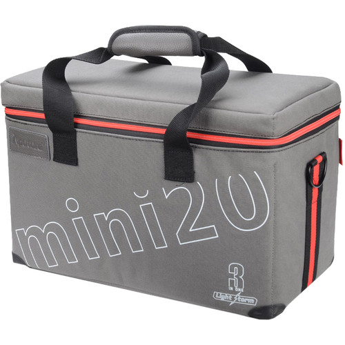 Aputure LS-mini20 Daylight/Bi-Color 3-Light Flight Kit ( DDC )