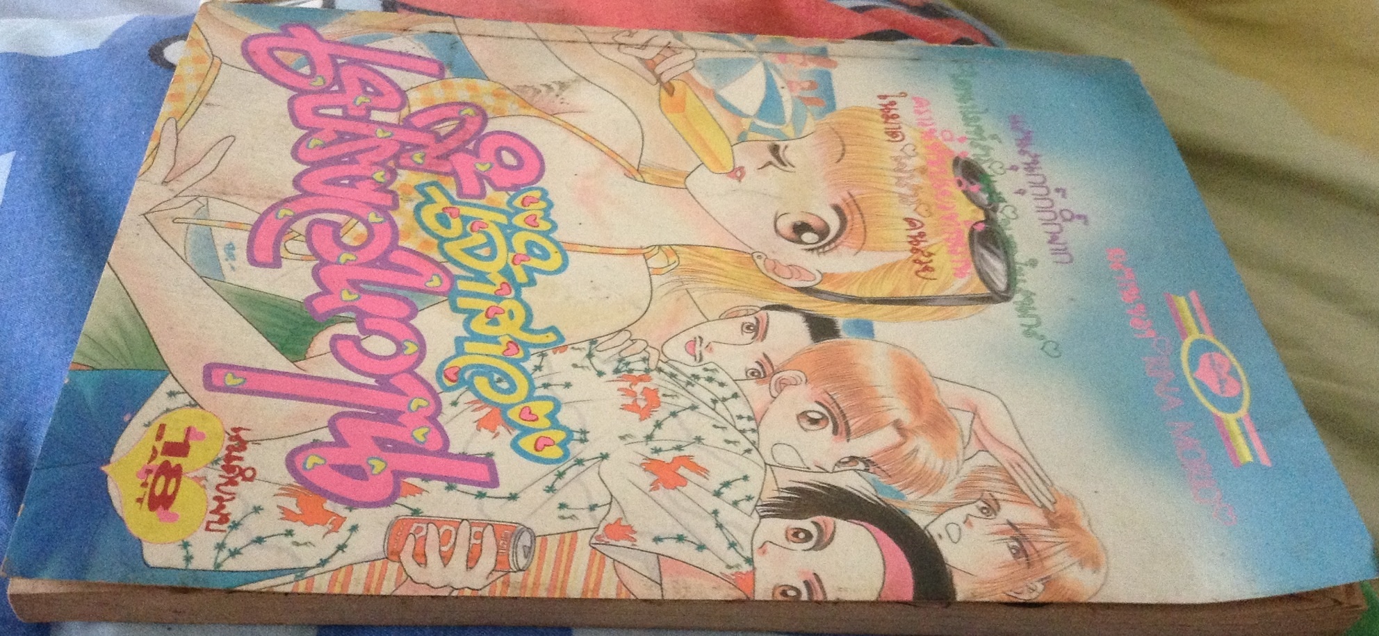 เจ้าสาวเปรี้ยวหวาน rina morio ราคา 15