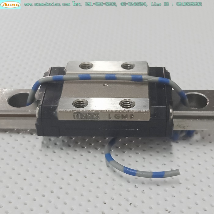 Linear Block and Rail ??? รุ่น 1GM9, รางสไลด์ขนาด 9 mm x 75 mm