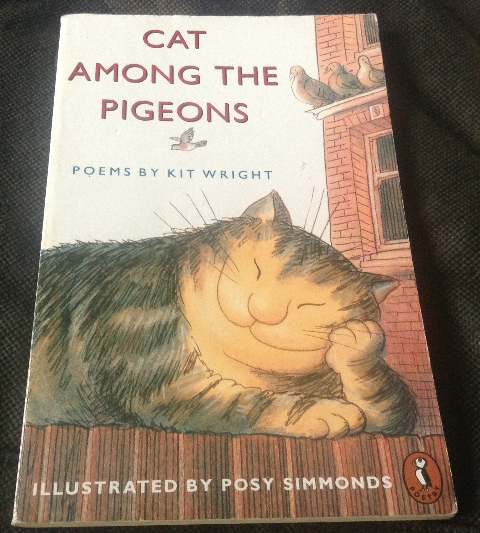 Cat Among the Pigeons: Poems by Kit Wright ราคา 60