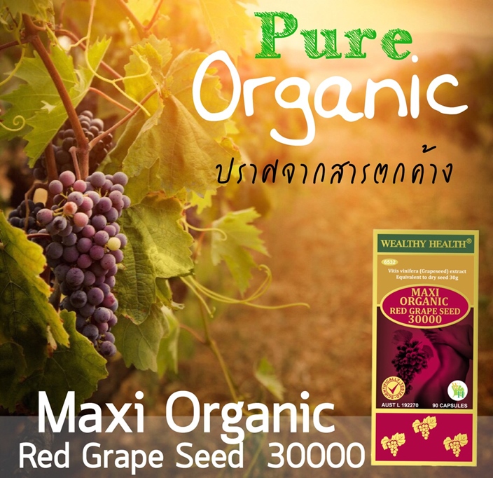 Wealthy health Maxi Organic Red Grape seed 30000 mg 90 capsules สารสกัดจากเมล็ดองุ่นแดง ทารบำรุงผิวขาว