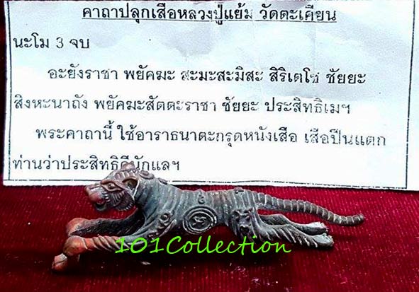 เสือเดือนเพ็ญ 9 ตะวัน 1 จันทรา พิมพ์ใหญ่ เนื้อสัตตะโลหะ หลวงปู่แย้ม วัดตะเคียน นนทบุรี