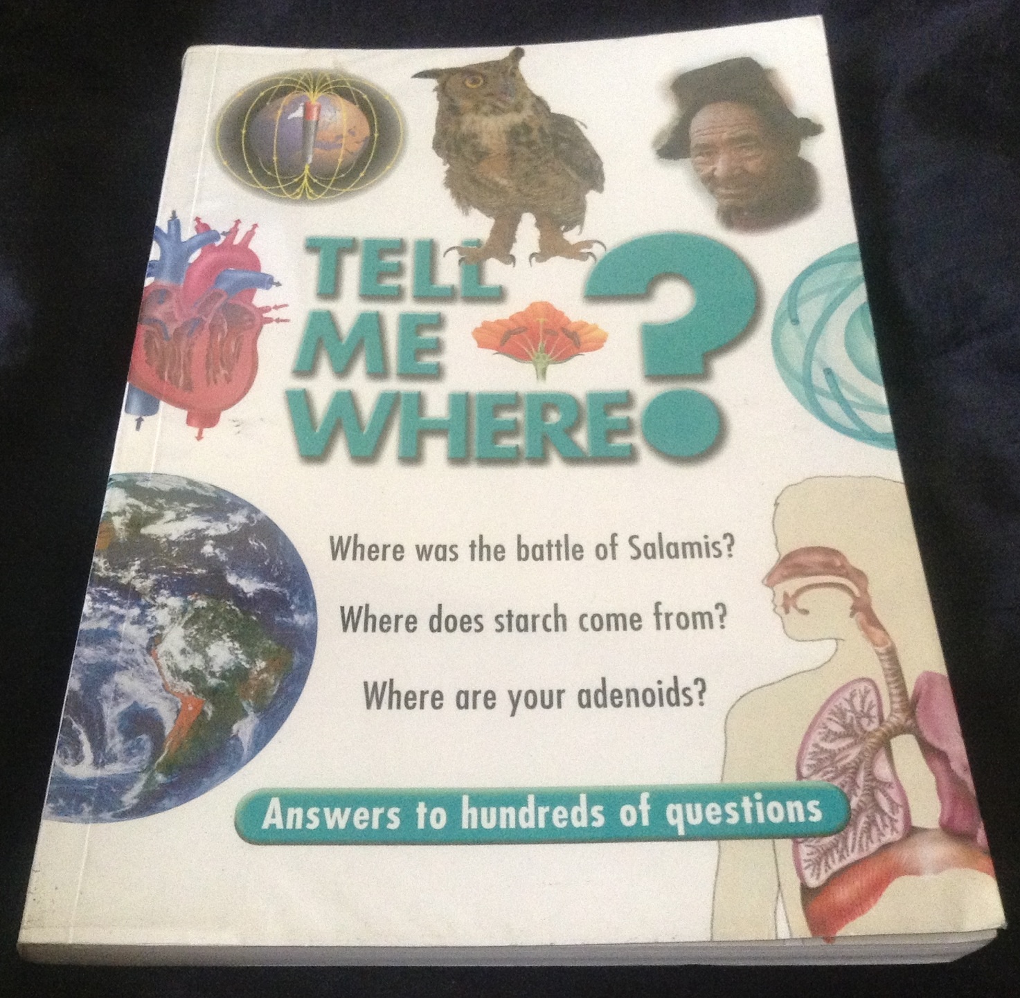 tell me where ราคา 150