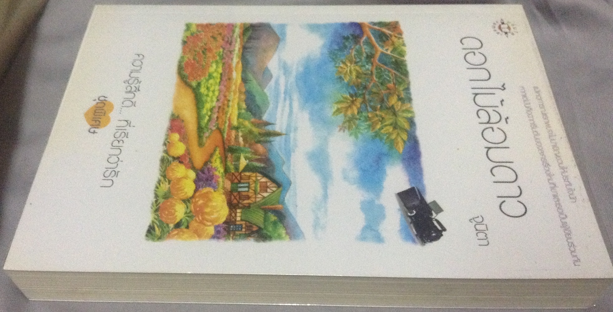 (สั่ง9จ่าย7) ดอกไม้ล้อมดาว จูนิตา ราคา 120