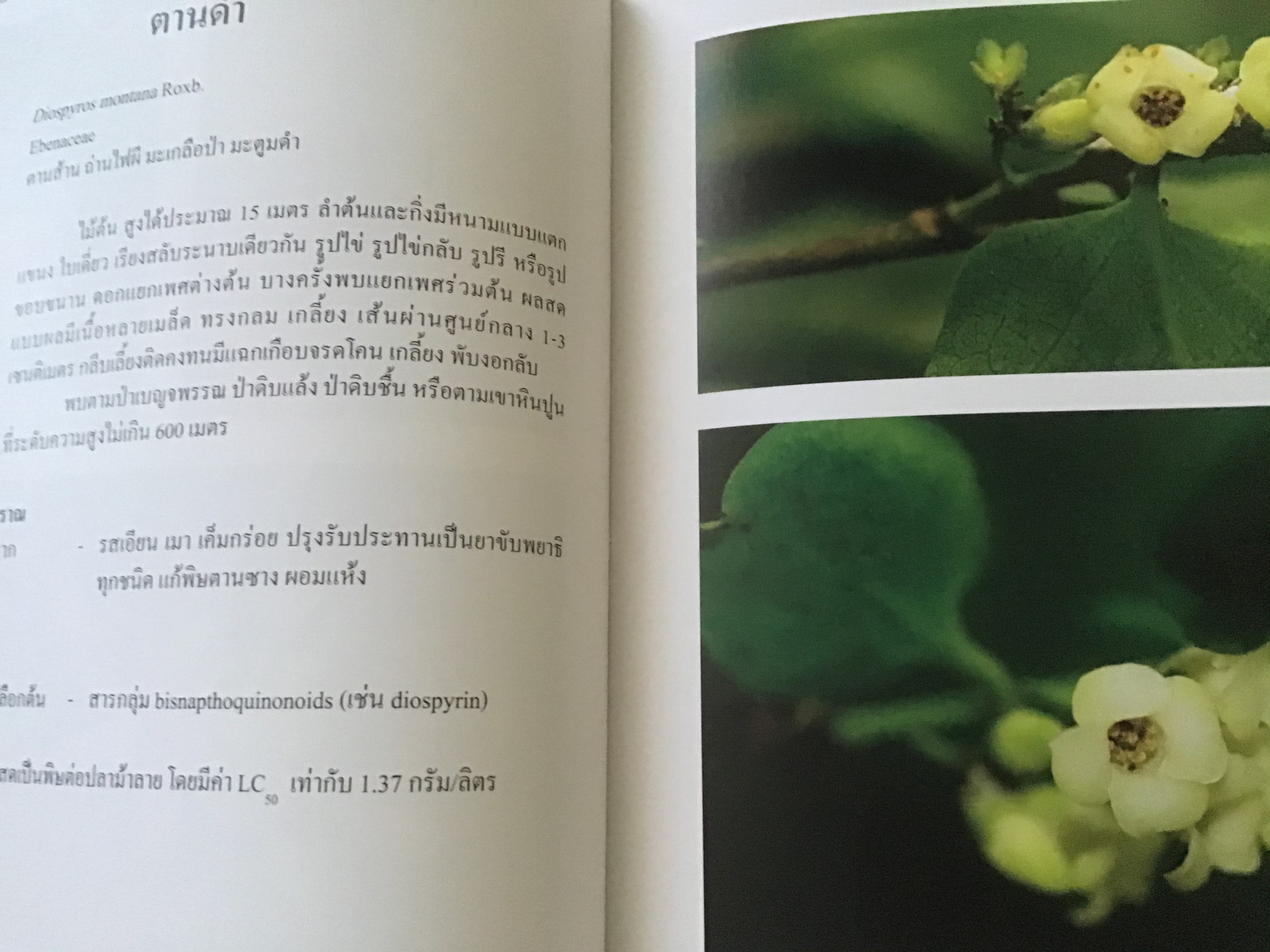 พืชสมุนไพรในประเทศไทย ตอน 4 สถาบันวิจัยสมุนไพร ปกแข็ง ราคา 300